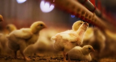 Дезинфекция на транспорте