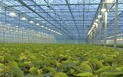 Дезинфекция на транспорте Дезинфекция на транспорте