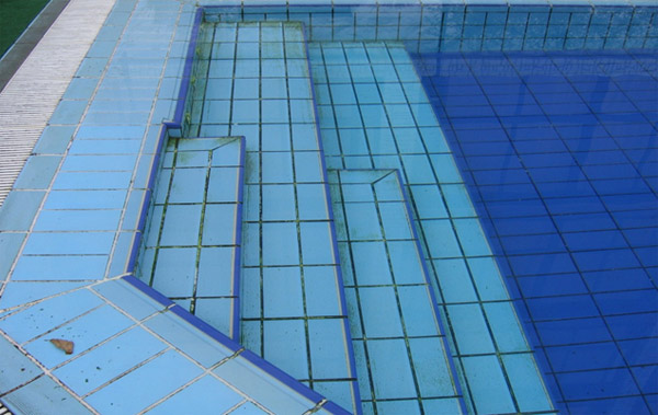 Бассейн до применения диоксида хлора Dutrion Очень запущенный, видны образования биопленки, обрастание водорослями и различные минеральные отложения на стенках и швах плитки